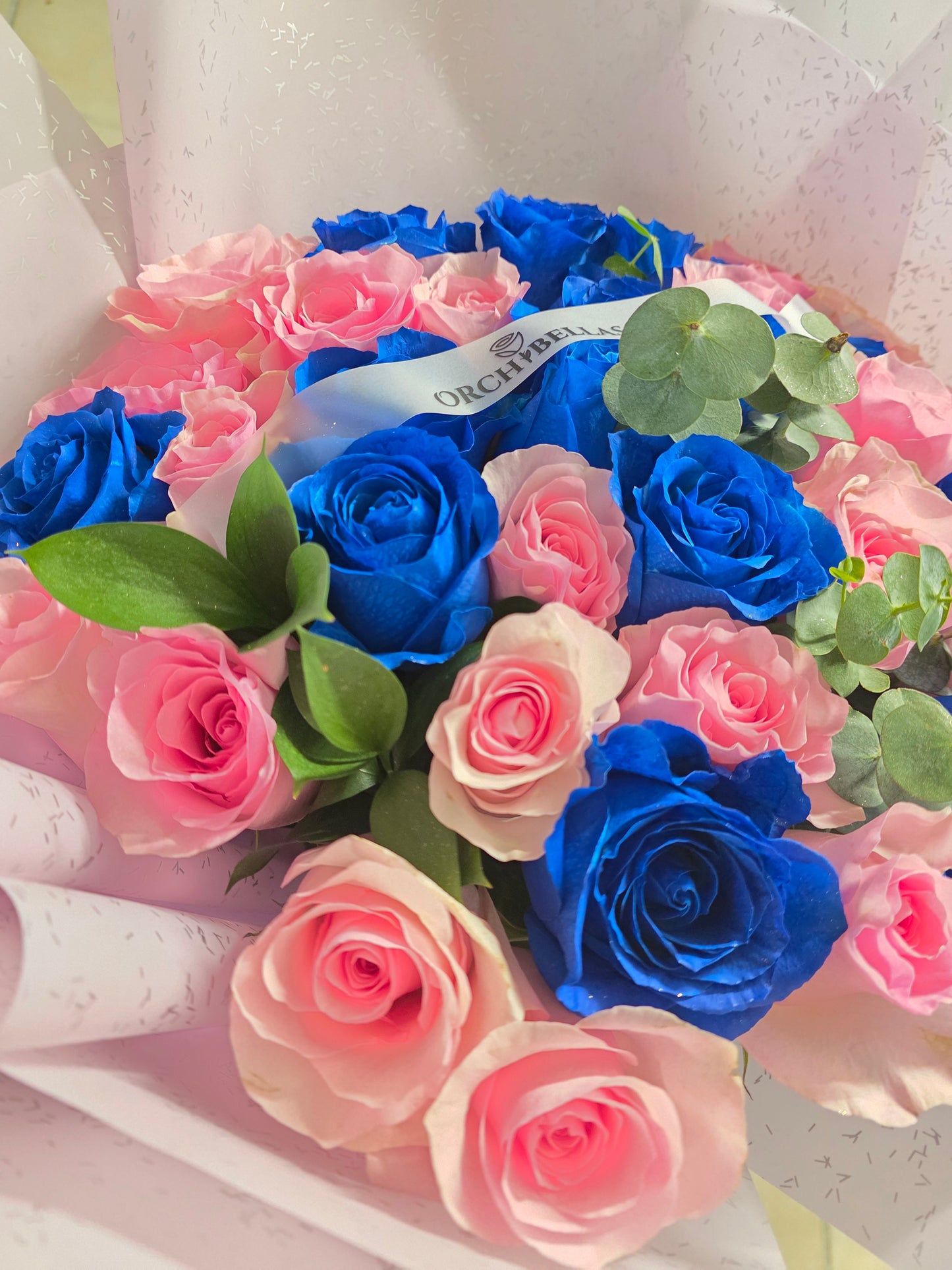 Blushing Blue