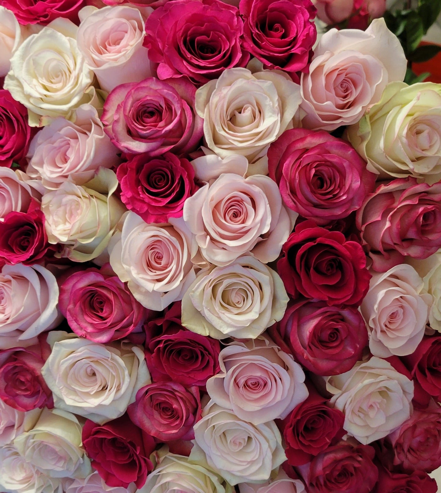 Blush Garden for Mom – Signature Rose Bouquet