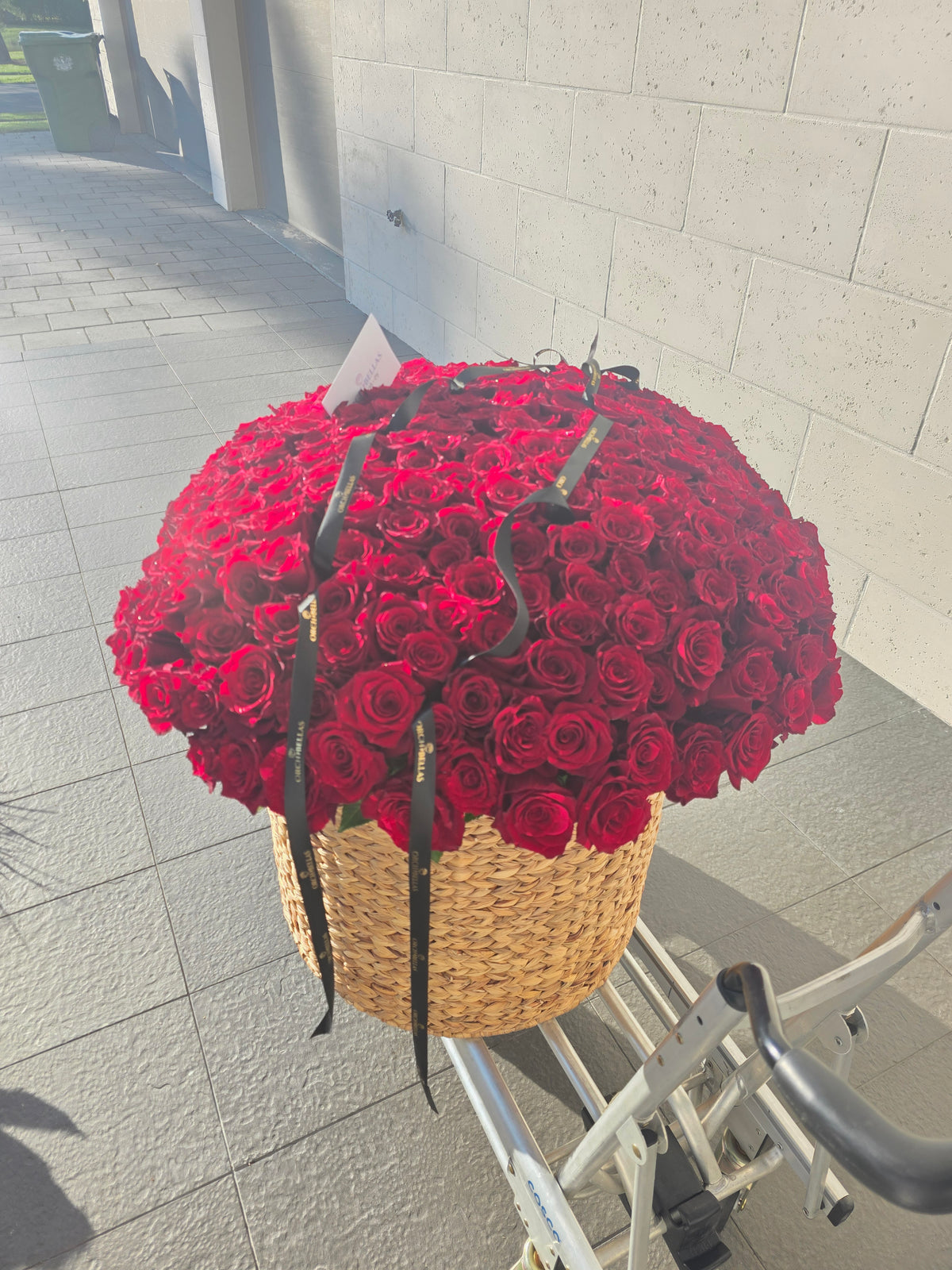 Giant Rose Basket, 250 roses, Classic Red, full frontal view