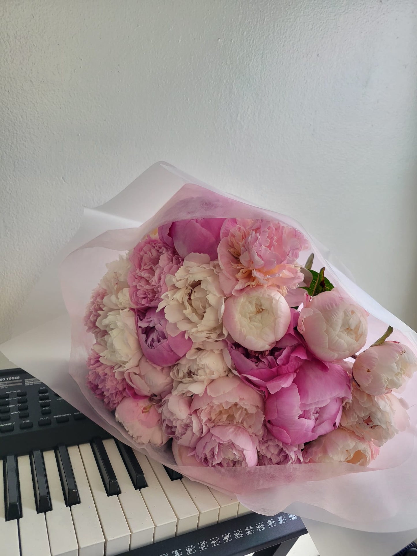 Petite Peony for Mom – 10 Stem Bundle