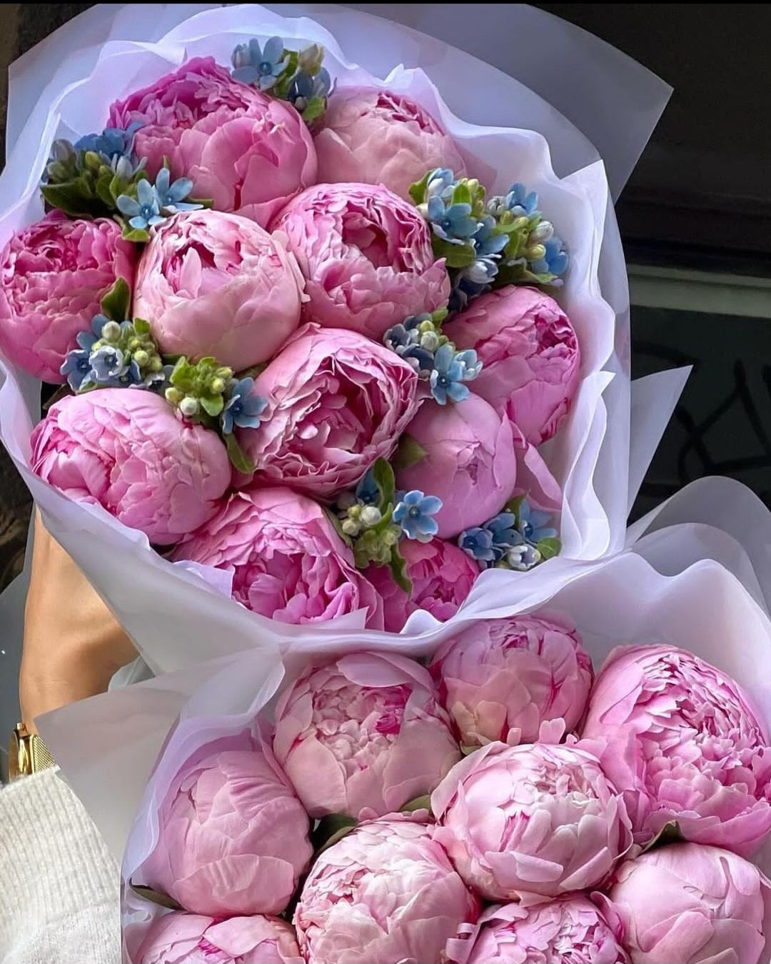 Limited Mother’s Day Peony Edition